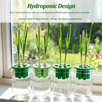 Load image into Gallery viewer, Hydroponic Vegetables Seed Planters Plant Garlic &amp; Green Onion/Outdoor Nursery Pot  Gardening Flowers Plant Tray Growing Tool
