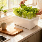Load image into Gallery viewer, Hydroponic Planting System Beginners All-Season Cultivation Home Hydroponic Seedling System for Lettuce Flowers Balcony Parterre
