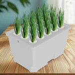Load image into Gallery viewer, For Indoor Gardening 32*22*18cm 15-hole System Compact Garden Solution Hydroponics Indoor Herb Garden Easy To Clean
