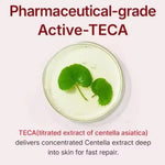Load image into Gallery viewer, Korean Madeca Cream Centella Collagen Face Moisturizer Anti-Wrinkle Firming Barrier Repair Skin Care
