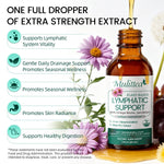 Load image into Gallery viewer, 60ml Lymphatic Support Drops 11 in 1 Echinacea Extract Natural Herbs Supplement for Improves Fluid Circulation Enhances Immunity
