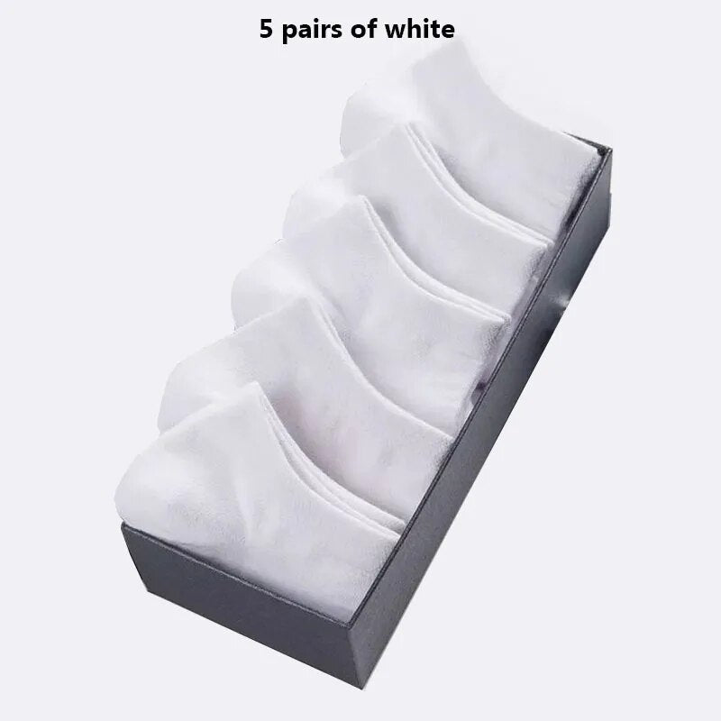 47195356660024