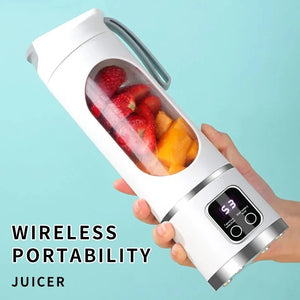 Portable fruit Juicer