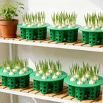 Load image into Gallery viewer, Hydroponic Vegetables Seed Planters Plant Garlic &amp; Green Onion/Outdoor Nursery Pot  Gardening Flowers Plant Tray Growing Tool
