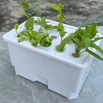 Load image into Gallery viewer, For Indoor Gardening 32*22*18cm 15-hole System Compact Garden Solution Hydroponics Indoor Herb Garden Easy To Clean
