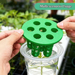 Load image into Gallery viewer, Hydroponic Vegetables Seed Planters Plant Garlic &amp; Green Onion/Outdoor Nursery Pot  Gardening Flowers Plant Tray Growing Tool
