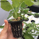 Load image into Gallery viewer, 25 Pieces Of Hydroponic Baskets For Soilless Cultivation Of Garden Vegetables, Aeroponics Plastic Planting Mesh Pots
