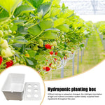 Load image into Gallery viewer, Hydroponic Planting System Beginners All-Season Cultivation Home Hydroponic Seedling System for Lettuce Flowers Balcony Parterre
