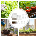 Load image into Gallery viewer, Hydroponic Planting System Beginners All-Season Cultivation Home Hydroponic Seedling System for Lettuce Flowers Balcony Parterre
