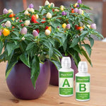Load image into Gallery viewer, Hydroponic Nutrients Fertilizer AB Solution Set Hydroponic Garden Plant Food Plant Fertilizer For Flowers Vegetables Nutrients
